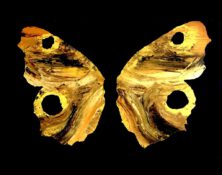 Butterfly - 150x150 cm